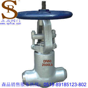Z61Y型對焊式自緊密封閘閥、美標鍛鋼閘閥SPZ61Y
